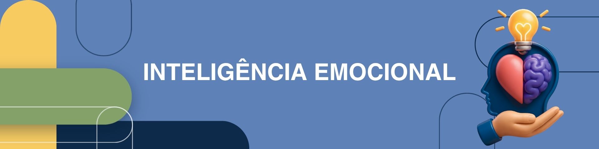 COMO UTILIZAR A INTELIGÊNCIA EMOCIONAL PARA TER SUCESSO PROFISSIONAL, PESSOAL E FINANCEIRO? TURMA 3